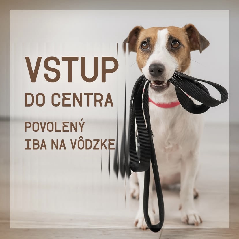 Už nemusíte svojho verného parťáka nechávať doma!